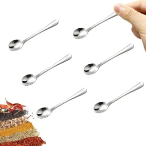 Tiny Spoons Melodi Series - Mini Stainless Steel Spoons 6.5 CM for Salt Jars Spice Jars, Powder Spices, Pepper, Sugar, Coffee (6 PCS, 6.5 CM, Silver)